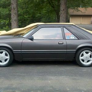 '82 'Stang new springs wheels