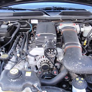 kicked up a little dirt! Lol