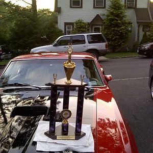 Best in show. Jammin on Gramatin