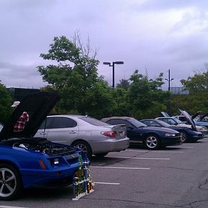 For The Love of Pets and People, May 22, 2011