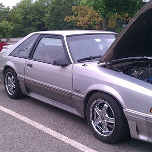 For The Love of Pets and People, May 22, 2011