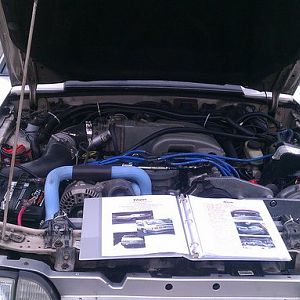 For The Love of Pets and People, May 22, 2011