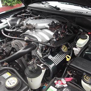 engine bay