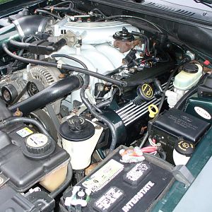 Engine new intake, valve covers