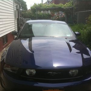 247781 546456430507 73600399 31203687 2344686 n