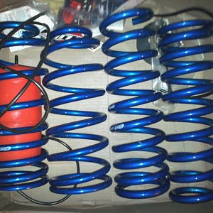 Eibach Drag springs!