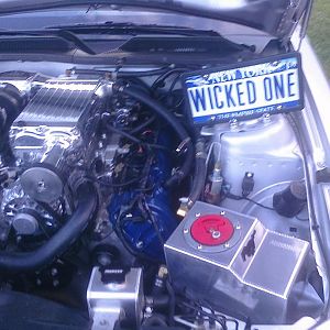 256048 1795262404679 1333273863 31657366 45256 o