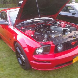 256051 1795403888216 1333273863 31657672 577880 o