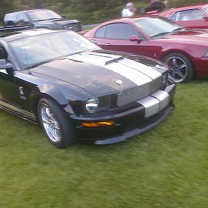 256856 1795401568158 1333273863 31657669 6630303 o