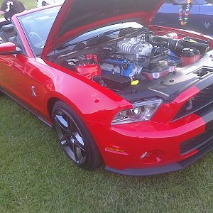 258107 1795411368403 1333273863 31657687 7121631 o