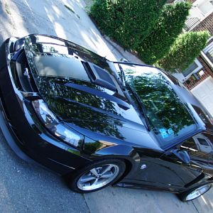 04 Mustang mach 1 (235)