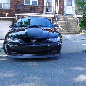 04 Mustang mach 1 (249)