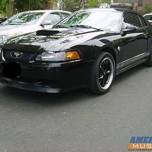 04 Mustang (9)