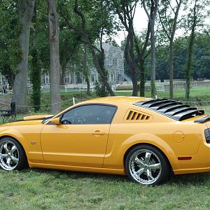 mustangs on the beach 06/11
