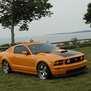mustangs on the beach 06/11 1st place