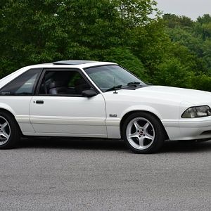 Mendon ponds cruise NYM