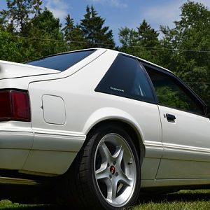 Mendon ponds cruise NYM