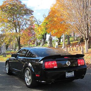 156000 515280442623 92200050 30406104 1633270 n