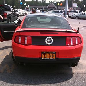 251036 1777943335358 1442617268 1442559 6989641 n