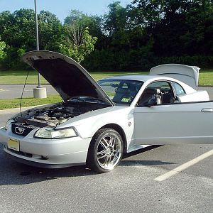 1999mustanggt16