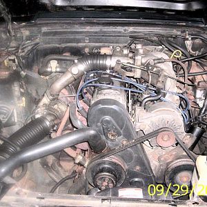 The little heart of  my Stang. K&N air filter, 9 in. clutch, Aluminum radiator, and by this time next year bigger injectors and an Intercooler on my w