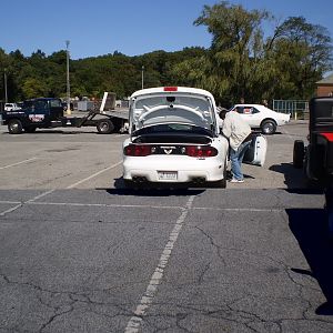 Playland Car show 2010