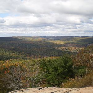 Veterans Cruise 2010