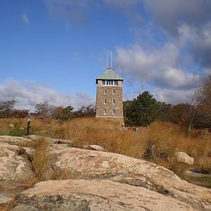 Veterans Cruise 2010