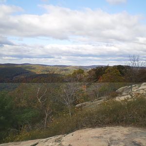 Veterans Cruise 2010