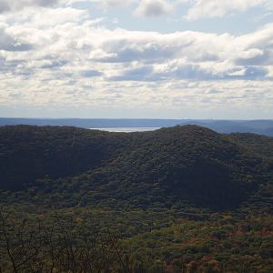 Veterans Cruise 2010