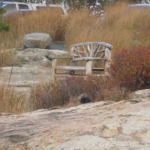 Veterans Cruise 2010