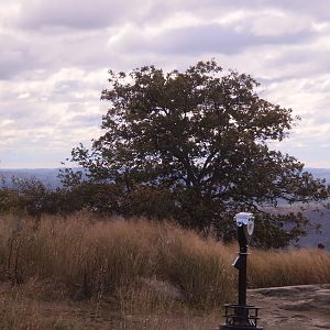 Veterans Cruise 2010