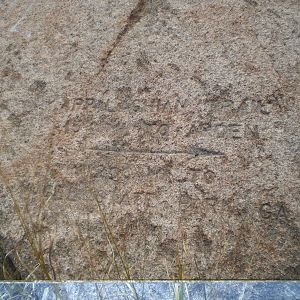 Veterans Cruise 2010