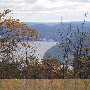 Veterans Cruise 2010