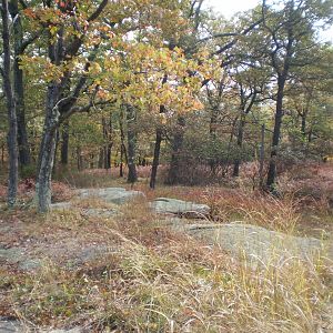 Veterans Cruise 2010