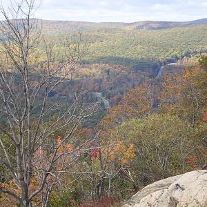 Veterans Cruise 2010