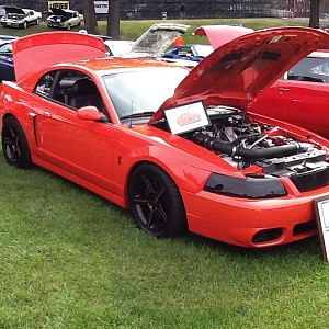 Robs 04 Orange Cobra
