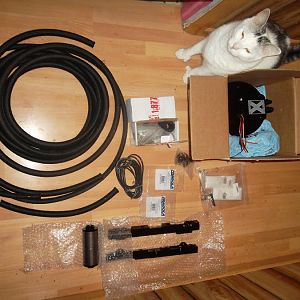 DivisionX high flow fuel rails/ pumps, fragola lines, aeromotive 10 micron filter,and guard cat.