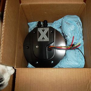 Even the cat approves :)