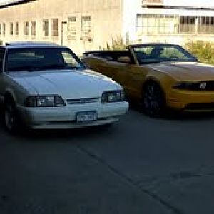 casper toms 2011 alley shot