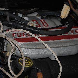 2011 1014mustang3020005