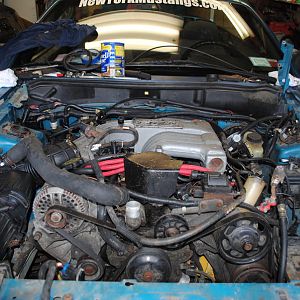 2011 1014mustang3020016