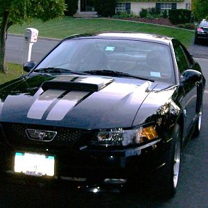 04 Mustang GT 40th Anniv 001