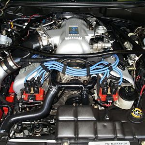 MCAweekendandLucas021