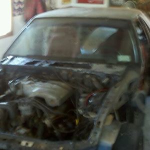 267703 10150241026093927 593158926 7581546 5144965 n