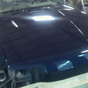 225950 10150174373953927 593158926 7020134 7141406 n