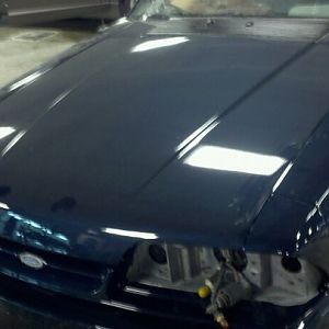 226919 10150175206308927 593158926 7026421 6313933 n