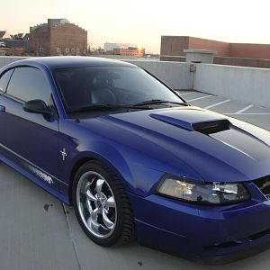 mustang 3