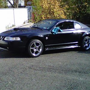 IMG00221 20111114 1335