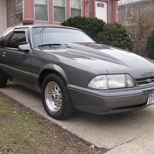 IMG 0053mustangside2